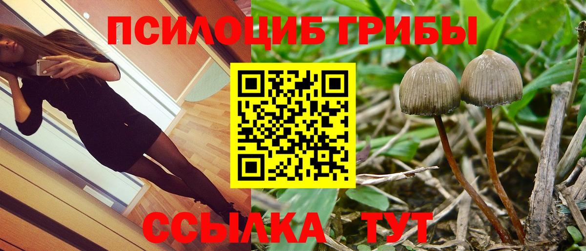 наркошоп  Псилоцибиновые грибы Psilocybe  Вход с VPN  Екатеринбург  Галлюциногенные грибы мицелий 