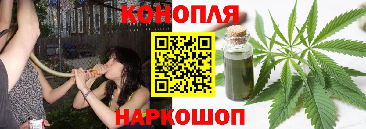 Канабис семена Екатеринбург